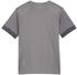 Puma teamGOAL Matchday Trikot Kids Grau Weiss F13