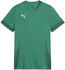 Puma teamGOAL Matchday Trikot Kids Grün Weiss F05