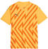 Puma teamGLORY Trikot Kids