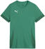 Puma teamGOAL Matchday Trikot Damen
