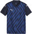 Puma teamGLORY Trikot Kids
