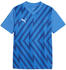 Puma teamGLORY Trikot Kids