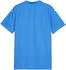 Puma teamGLORY Trikot Kids