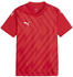 Puma teamGLORY Trikot Kids