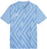 Puma teamGLORY Trikot Kids
