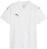 Puma teamGLORY Trikot Kids
