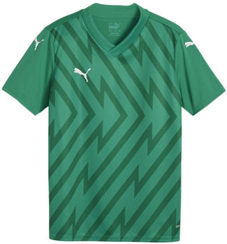 Puma teamGLORY Trikot Kids Gr&uuml;n Weiss Gr&uuml;n F05