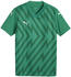 Puma teamGLORY Trikot Kids