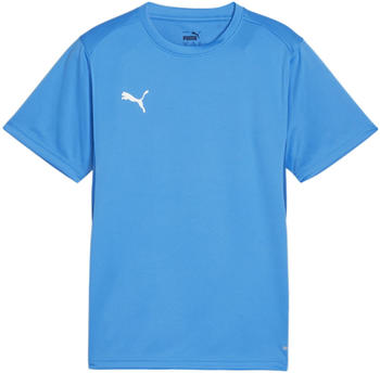 Puma teamGOAL Trikot Kids