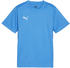 Puma teamGOAL Trikot Kids