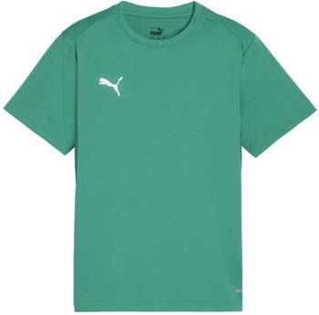 Puma teamGOAL Trikot Kids Gr&uuml;n F05