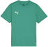 Puma teamGOAL Trikot Kids