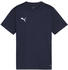 Puma teamGOAL Trikot Kids