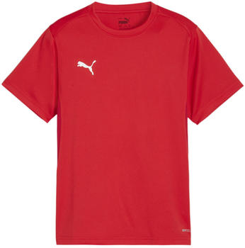 Puma teamGOAL Trikot Kids Rot F01