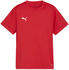 Puma teamGOAL Trikot Kids