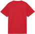 Puma teamGOAL Trikot Kids