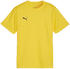 Puma teamGOAL Trikot Kids