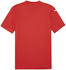 Puma teamGLORY Trikot Rot Weiss Rot F01