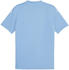 Puma teamGLORY Trikot Blau Weiss Blau F18