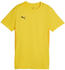 Puma teamGOAL Trikot Damen