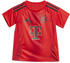Adidas FC Bayern München Baby Kit 2024/2025