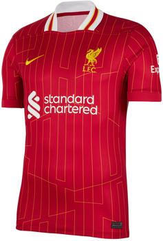 Nike FC Liverpool Heimtrikot 2024/2025