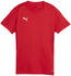 Puma teamGOAL Trikot Damen