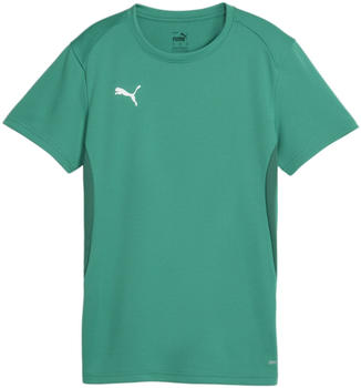 Puma teamGOAL Trikot Damen Gr&uuml;n F05