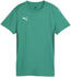 Puma teamGOAL Trikot Damen