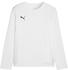 Puma teamGOAL Trikot Langarm Kids