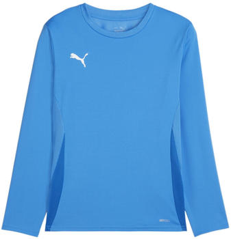 Puma teamGOAL Trikot Langarm Kids