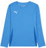 Puma teamGOAL Trikot Langarm Kids