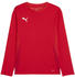 Puma teamGOAL Trikot Langarm Kids