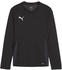 Puma teamGOAL Trikot Langarm Kids