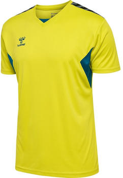 Hummel Hmlauthentic Pl Jersey S/S (219964-6829) yellow