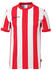 Uhlsport Retro Stripe Short Sleeve T-shirt Kids (1002260)