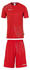 (100345104) red