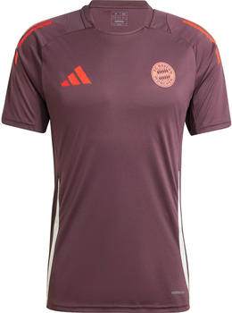 Adidas FC Bayern München Trainingsshirt (2024/2025)