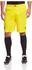 Puma Borussia Dortmund Shorts