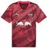 Puma RB Leipzig Trikot Kinder 2024/2025