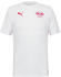 Puma RB Leipzig Training Shirt 2024/2025 red/white