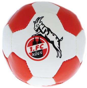 1. FC Köln Knautschball