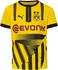 Puma Borussia Dortmund Trikot Kinder 2024/2025