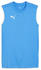 Puma Teamfinal Training Jersey Sl Trikot blau