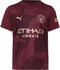 Puma Manchester City Trikot Kinder 2024/2025