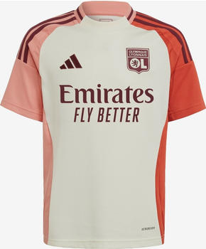 Adidas Olympique Lyonnais Third shirt 2024/2025 Jr