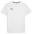 Puma teamGOAL Trikot