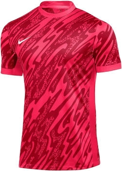 Nike Gardien V Torwarttrikot Red