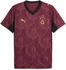 Ausweichtrikot