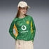 Torwarttrikot langarm grün: Puma Borussia Dortmund Trikot Kinder 2025/2026